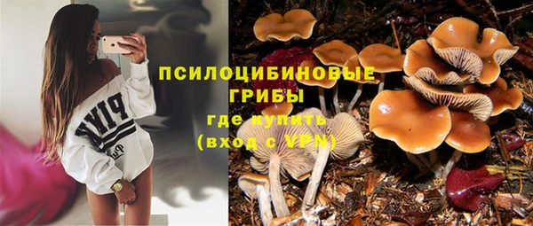 первитин Богородицк