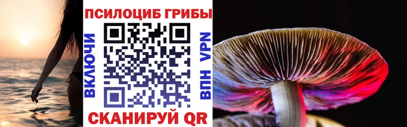 Галлюциногенные грибы Cubensis  Озёрск 